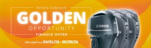 Read more about the article Golden Opportunity Finance Offer